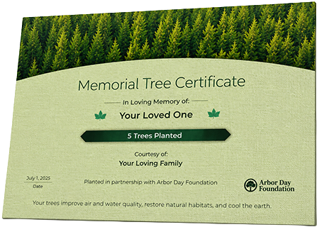 Plant Trees in Memory of Mr. Ivey Dean Miller